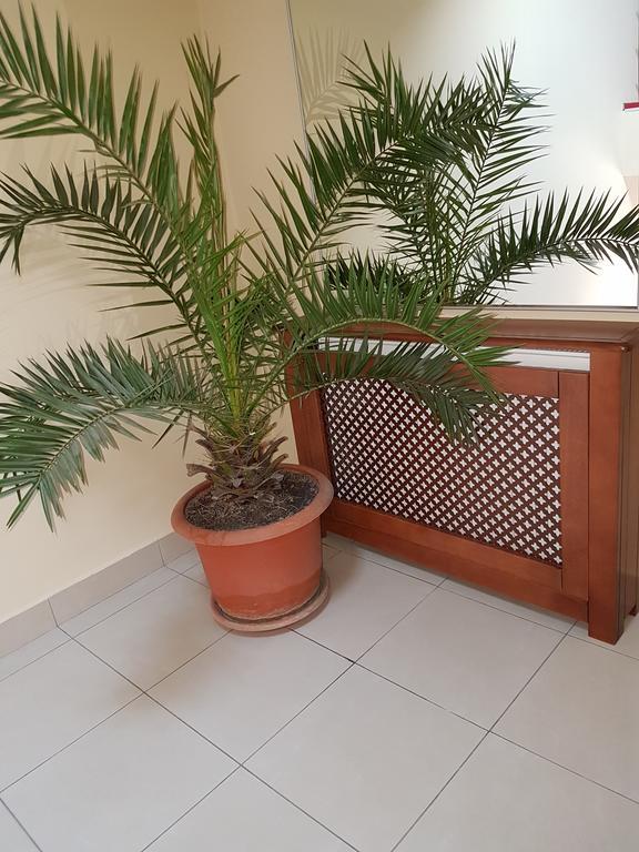 Hotel Iris Arad
